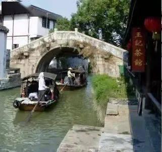 救援瓢虫宝宝