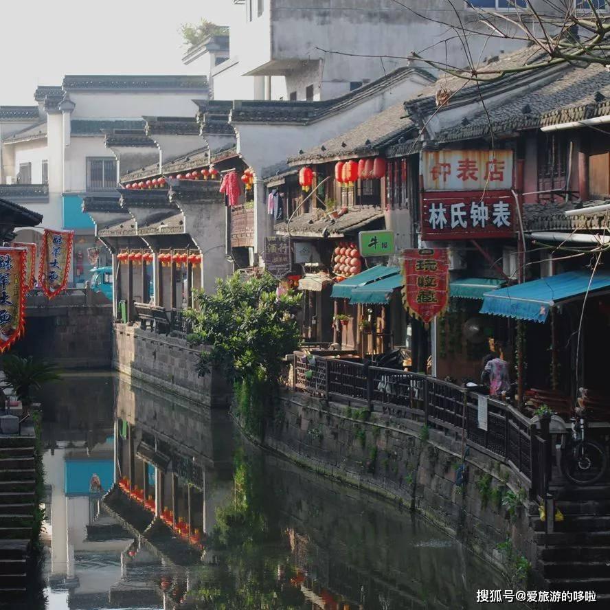 逃离橡子树种植地